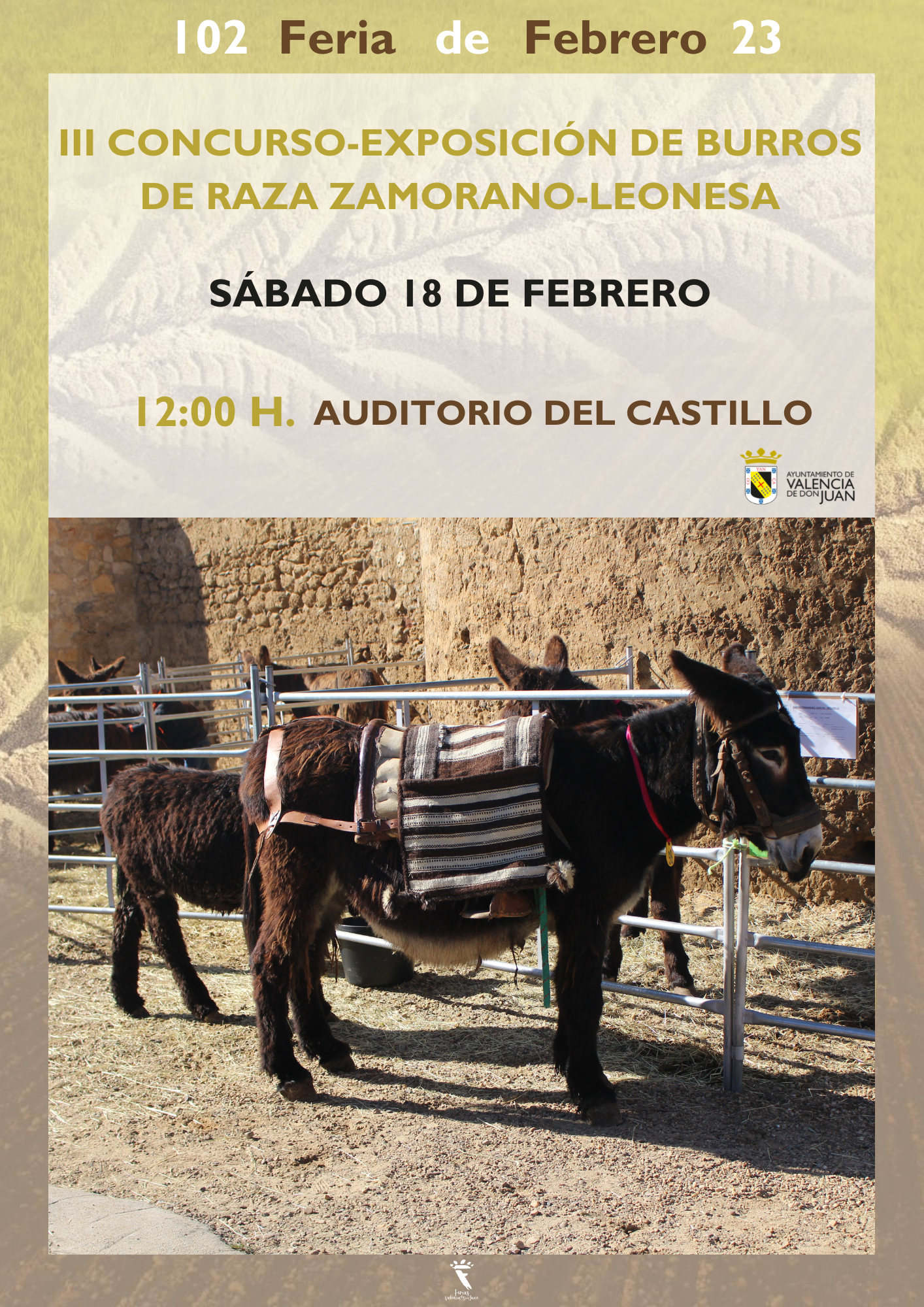 III Concurso-Exposición de Burros de raza Zamorano-Leonesa