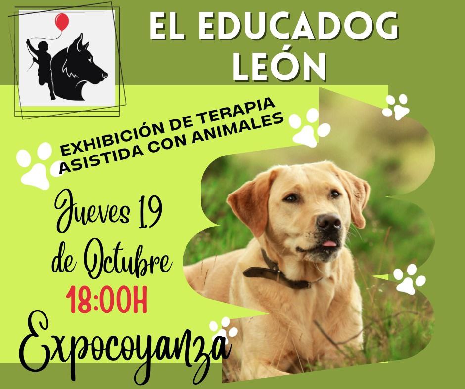 11ª Semana del Alzheimer: Exhibición de terapia asistida con animales